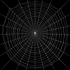 Obraz premium Ultra-Detailed Symmetrical Spider Web Macro on Black Background
