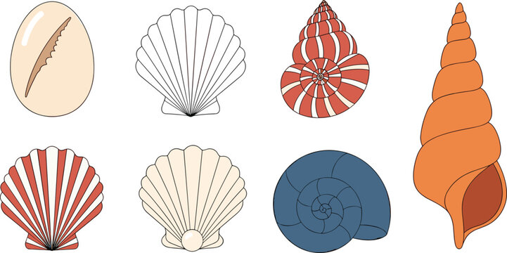 Sea shells set vector illustration marine ocean elements conch scallop collection beach decorative design elements