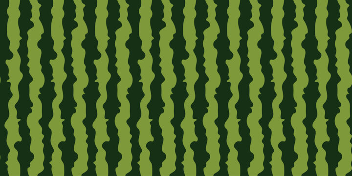 Watermelon texture green striped rind natural fruit pattern background