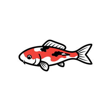 Japanese Koi Fish Vector Illustration in Red and White Colors