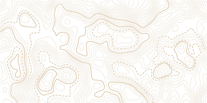 Light topographic topo contour map background. Geographic abstract grid. vector illustration . Topography and geography map grid abstract backdrop. Business concept. Vector illustration
