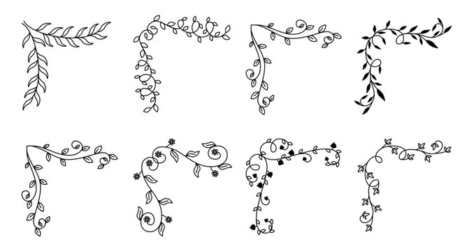 Floral vine borders or corners frame elegant spaces for stylish design projects. Vector illustration