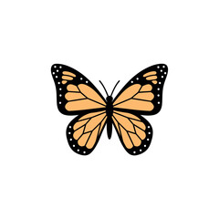 Fototapeta premium Monarch Butterfly Vector Illustration Isolated on White Background