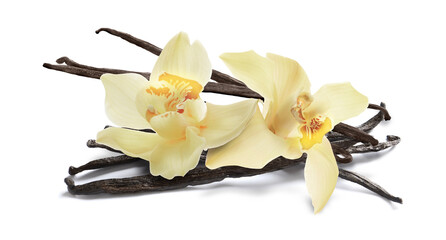 Obraz premium Vanilla pods and orchids isolated on white