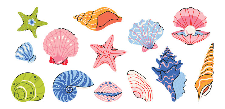 Trendy sea shells vector set with starfish, shells, and ocean elements in bright summer colors. Hand drawn coastal collection perfect for stickers, prints, packaging and seasonal projects