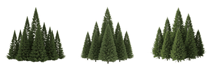 Fototapeta premium Set of Realistic Evergreen Spruce Trees and Coniferous Forest Clusters Isolated on Transparent Background