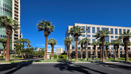 Palm trees and modern office buildings downtown. Sunny urban scene with rows of palm trees, modern office buildings, and a wide city street under a deep blue sky. © Iryna