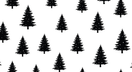 Obraz premium Dense forest of black pine trees against a white background silhouette