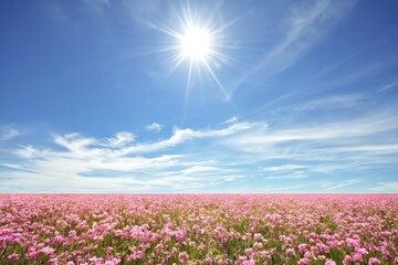 Fototapeta premium Bright Sunshine Over a Field of Pink Flowers Under a Blue Sky During Daytime