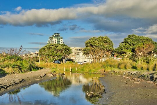 Paraparaumu MacLean Park