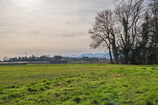 Paysage rural de Duillier avec champs labour&eacute;s et vue sur le Jura sous un ciel voil&eacute;