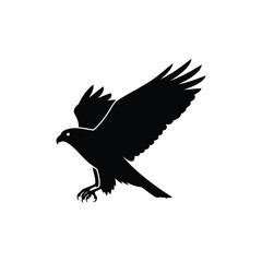 Fototapeta premium Silhouette of bird of prey in flight with open wings, talon detail, nature.