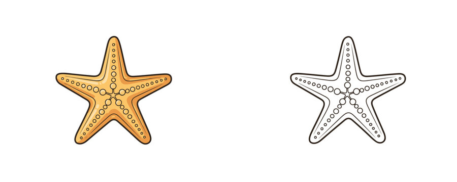 Starfish illustrations in flat orange color and black line styles showing marine echinoderm with dotted texture on white background for sea life decoration and aquatic design
