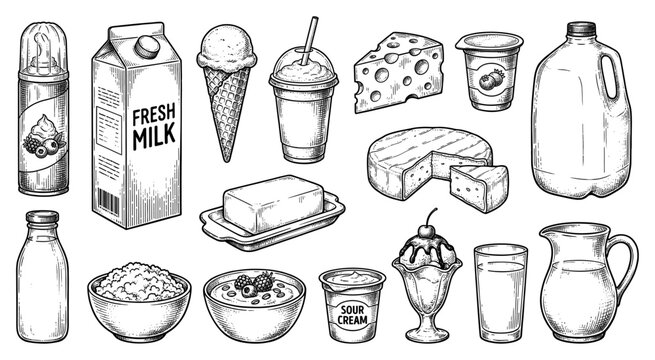 Dairy product set with milk cheese butter and yogurt sketch