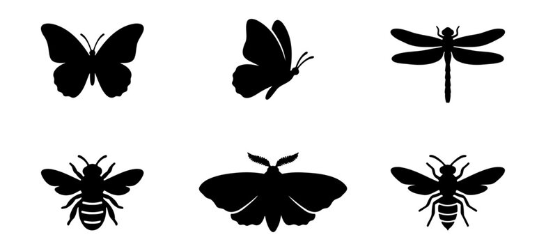 Black insect silhouettes, 6 butterfly and bee icons, dragonfly and moth vector set
