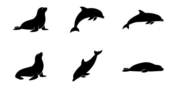 Marine animal silhouettes, dolphin and seal vector set, aquatic wildlife icons collection