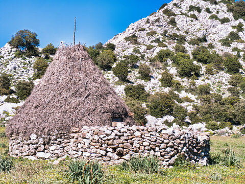Il famoso Pinnetu dei vecchi pastori di barbagia in Sardegna