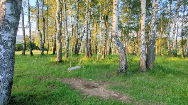 Empty swing hanging in birch forest gently moving lost child concept of sad emotional scene