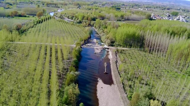 Aerial view of the Sil River showing poplar (Populus) crops grown on both sides of the tributary and a bridge submerged in the water by the force of the river due to floods and overflows