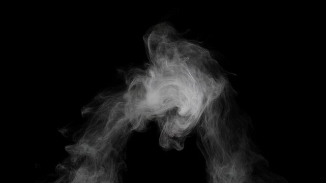 Two graceful white smoke plumes curling, blending, and swirling on black background, showcasing ethereal fluid motion with soft lighting and smoke texture, video footage