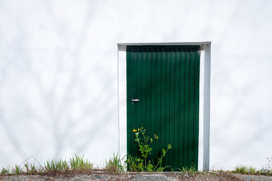 Dark green door set in a stark white wall with plants. The Concept of contrast.