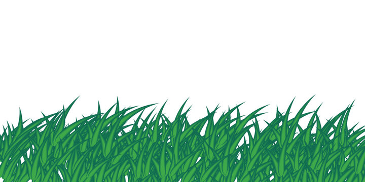 vector of grass realistic grass pn transparent background 