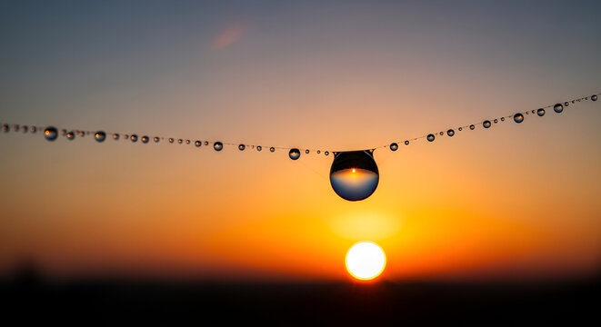 Morning dew drops on spider web at sunrise, sun refraction in crystal water droplet, environmental purity, fragile ecosystem beauty, dawn light, sustainable nature concept.