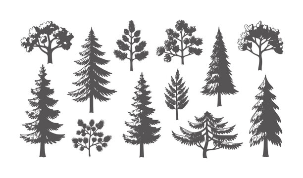 Collection of hand drawn dark grey tree silhouettes white