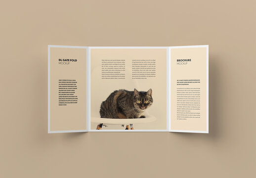 DL Gate Fold Mockup