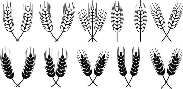 Black and White Wheat Stalk Illustrations Keywords: wheat, wheat stalks, grain, agriculture