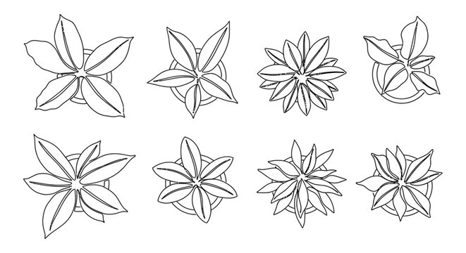 minimalist top view line art collection of various potted plants ideal for architectural drawings landscape design and interior floor plans