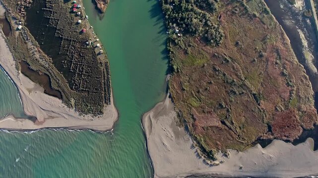 Aerial view shows river estuary mouth across flat plain with sandy banks and green waters. Natural delta shoreline features beach sand tree cover scrub vegetation meeting calm flow.