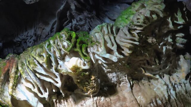 Close up macro shows moss growing on moist limestone layers along damp cave wall surface. Fine textures reveal wet rock details natural mineral structure and organic growth in dark underground space.