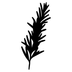 Fototapeta premium Silhouette of a Rosemary Sprig.