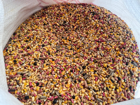 Close-up of mixed bird feed in bulk, featuring grains, seeds, and pellets with varied textures and colors. Ideal for agriculture, farming, livestock nutrition, and poultry feed industry concepts use!!