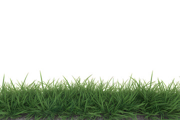 Fototapeta premium Green grass border with white background and stone edge nature
