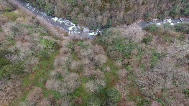 Aerial mountain valley stream through mixed forest from autumn into snowless winter transition. Bare branches, cooling weather, leaf change, quiet wilderness, calm seasonal watercourse, stock search.