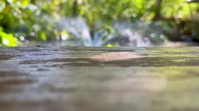 Empty wooden table in garden, Product display concept