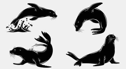 Dynamic Seal Collection: Four Black Silhouette Poses Illustrating Aquatic Life © eaceu