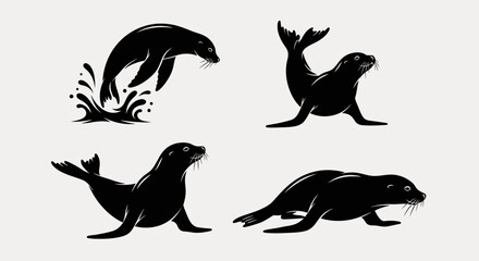 Four Black Seal Silhouettes Showing Aquatic Poses And Water Splash © Asahi