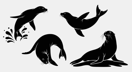 Four Black Silhouettes of Seals in Various Poses with Water Splash © Asahi
