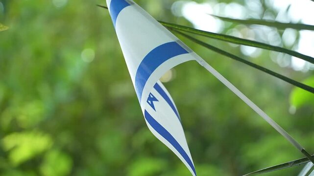 A detailed close-up shot captures the Israeli flag gently waving against a soft green background.