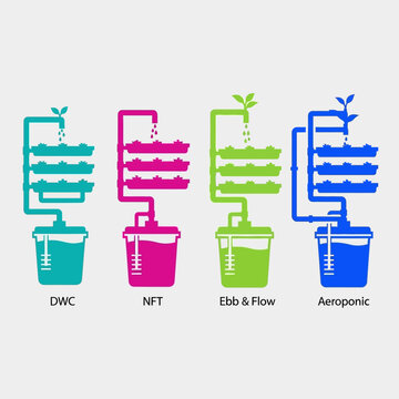 Hydroponic Systems Explained: DWC, NFT, Ebb & Flow, Aeroponics Diagrams