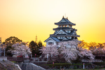 Obraz premium A Japanese castle and cherry blossoms in the morning
