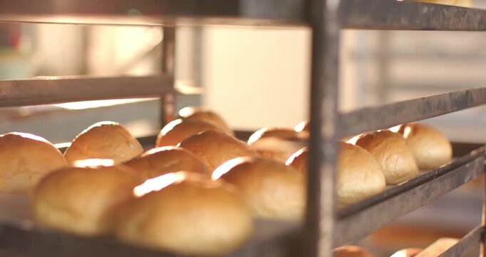 Camera panning across trays on metal rack in bakery, revealing glossy rolls and showing texture