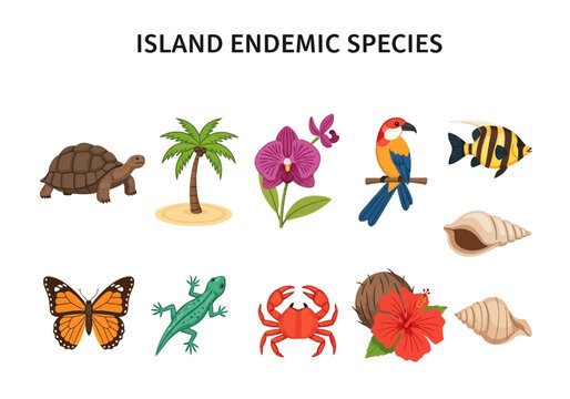 Island endemic species collection of flora and fauna icons for educational purposes