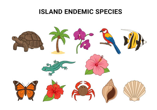 Island endemic species vector icon collection. Diverse wildlife and flora elements for nature and travel themes