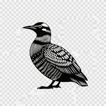 Black and white stylized vector illustration of a loon bird in a woodcut silhouette style, featuring intricate feather patterns and line art, isolated on a transparent grid background.