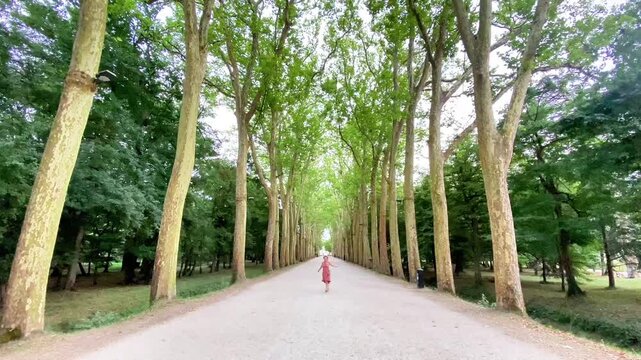 Distant View of a Woman in a Pink Dress Walking Down a Majestic Plane Tree Avenue