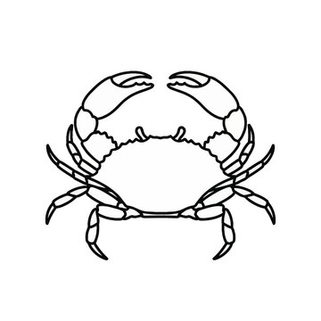 Minimalist black and white line art illustration of a crab with large pincers and detailed shell texture, isolated on a white background for marine and seafood design projects.